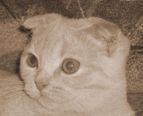 s6301211.jpg